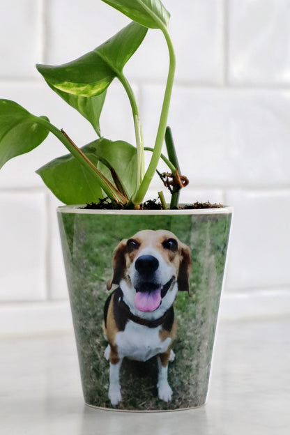 Custom Pot (SINGLE PRODUCT)