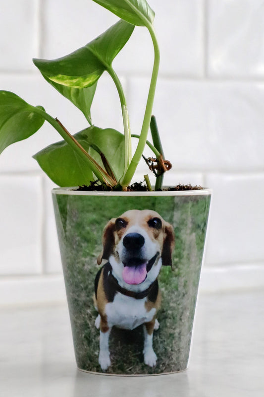Custom Pot (SINGLE PRODUCT)