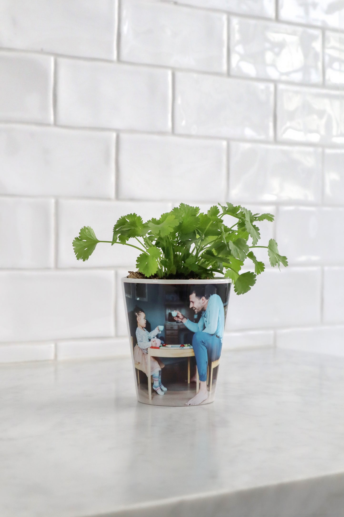 Custom Pot (SINGLE PRODUCT)