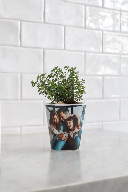 Custom Pot (SINGLE PRODUCT)