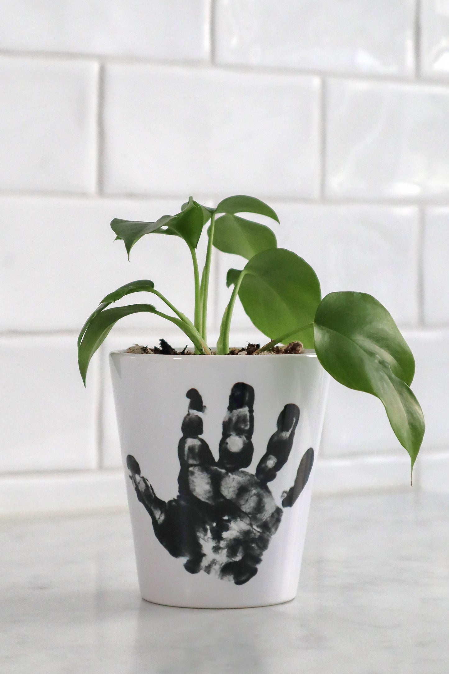 Custom Pot (SINGLE PRODUCT)
