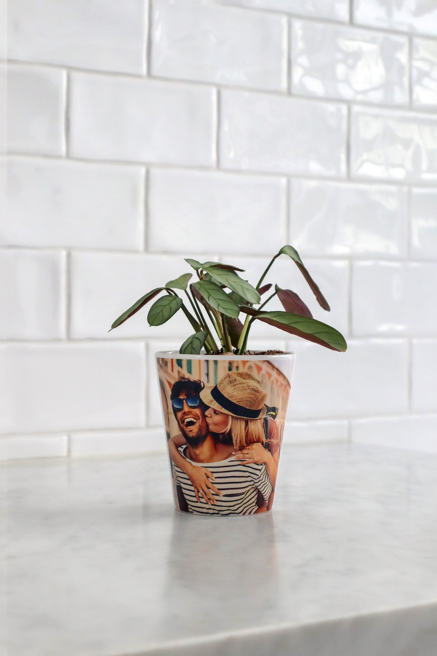 Custom Pot (SINGLE PRODUCT)