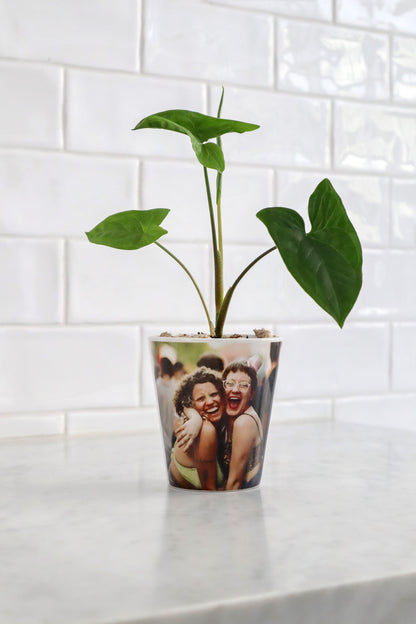 Custom Pot (SINGLE PRODUCT)